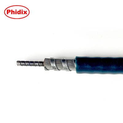 Knabelvergrendeling Push-Pull-besturingshoofd